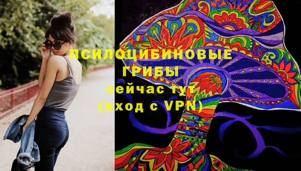 метадон Алексин
