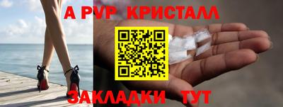индика Гусев