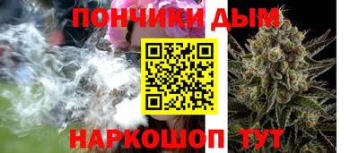 индика Гусев