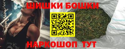 индика Гусев
