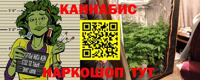 индика Гусев