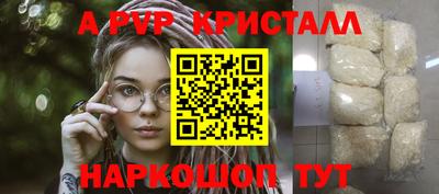 индика Гусев