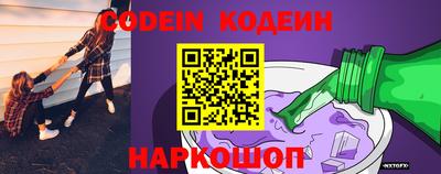 индика Гусев