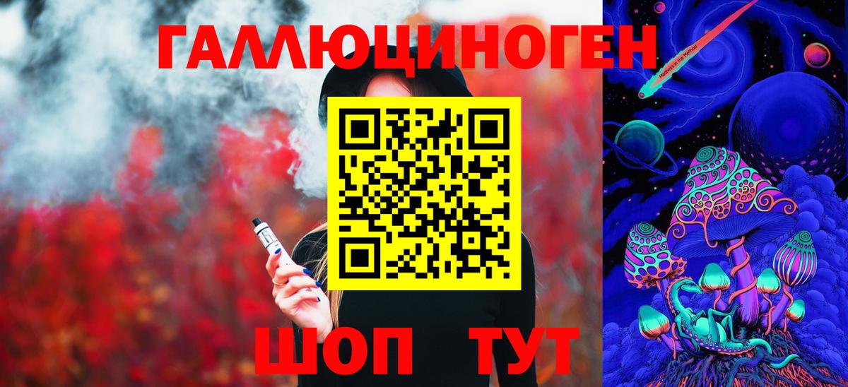 Псилоцибиновые грибы Psilocybe Минусинск